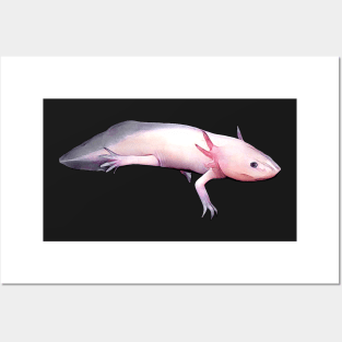 Pink axolotl exploring Posters and Art